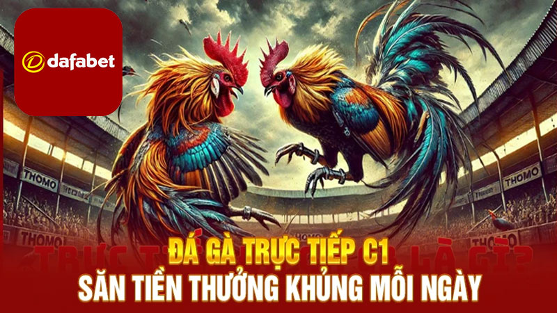 Quy tắc tham gia đá gà trực tiếp c1